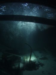 Belize's newest wreck, we found a small cargo carrying bo... by Martin Spragg 